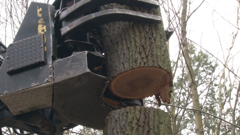 Arbeiten mit Joystick in der klimatisierten Fahrerkabine