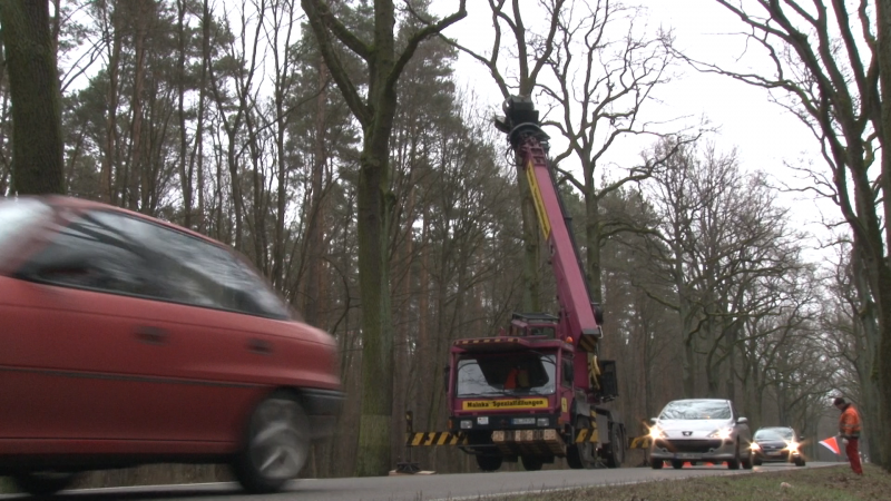 Sicheres Arbeiten in der klimatisierten Fahrerkabine